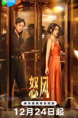 怒风 第03集