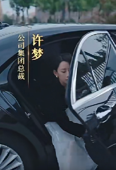 女老板的复仇 全集(大结局)