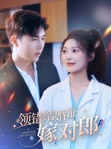 领错结婚证嫁对郎 全集(大结局)