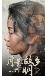 母亲的尽头 全集(大结局)