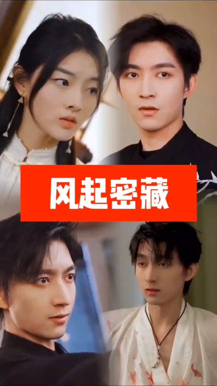 风起密藏 全集(大结局)