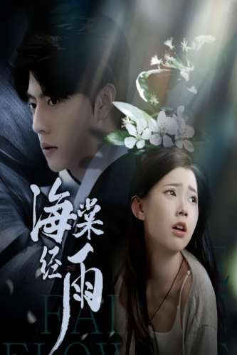 海棠经雨 全集(大结局)