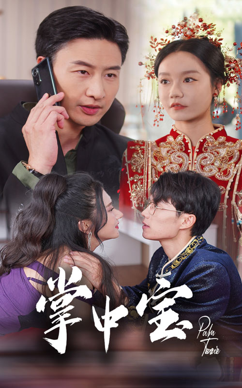 掌中宝 全集(大结局)