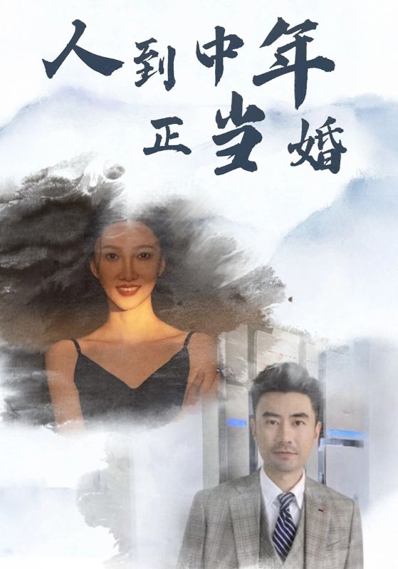 人到中年正当婚 全集(大结局)