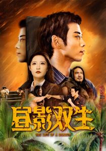 昼影双生 全集(大结局)