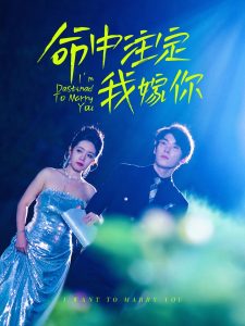 命中注定我嫁你 全集(大结局)