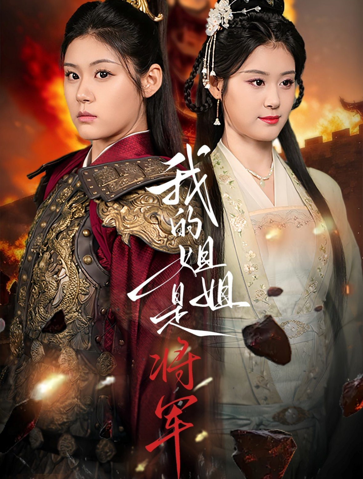 我的姐姐是将军 全集(大结局)