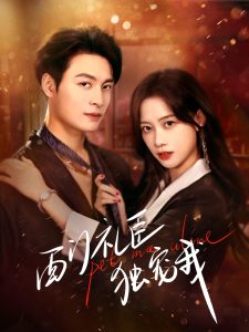 西门礼臣独宠我 第1-20集