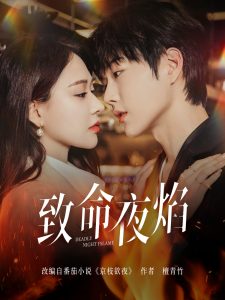 致命夜焰 全集(大结局)