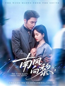 南风向黎 全集(大结局)
