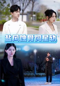 盐风蚀骨饲星轨 全集(大结局)