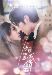 今日宜大婚 全集(大结局)