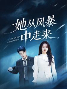 她从风暴中走来 全集(大结局)