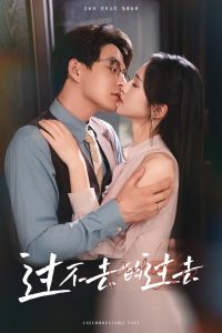 过不去的过去我用血肉去爱你 全集(大结局)