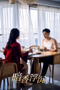 暗香浮沉 全集(大结局)