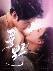 寻野 全集(大结局)