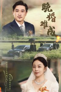 晚婚难成 全集(大结局)