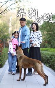 养狗应有道 全集(大结局)