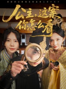 公主，这案你怎么看 全集(大结局)