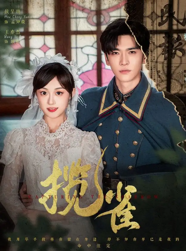 揽雀 全集(大结局)