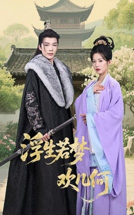 浮生若梦欢几何 全集(大结局)