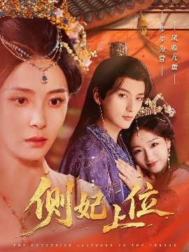 侧妃上位 全集(大结局)